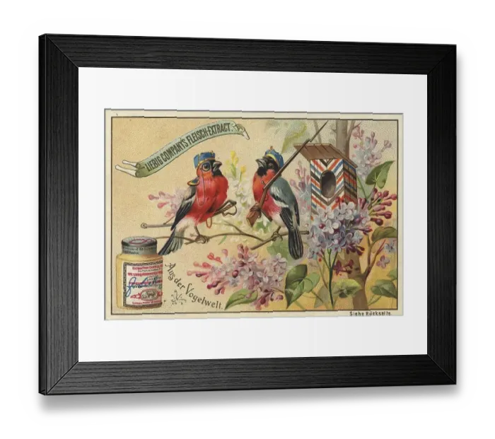 Framed Print : Picture series From the world of birds Framed Print : Picture series From the world of birds