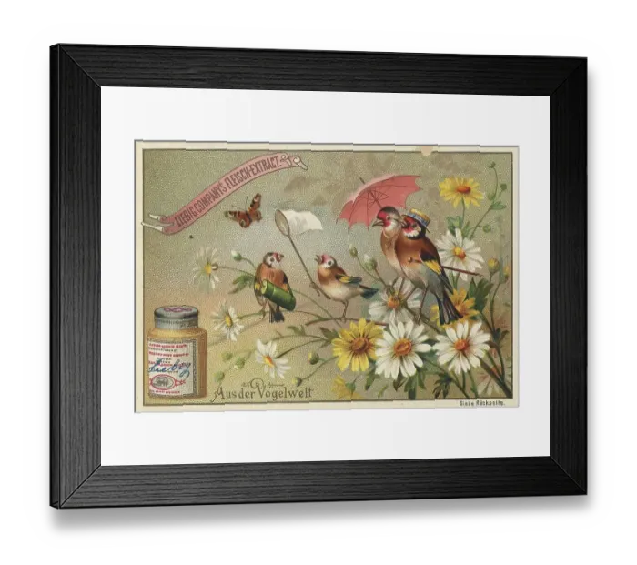 Framed Print : Picture series From the world of birds