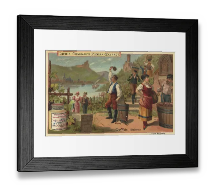Framed Print : Picture series The wine, Rhine wine from Germany Framed Print : Picture series The wine, Rhine wine from Germany