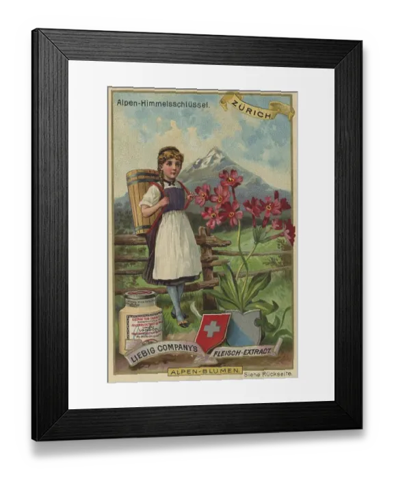 Framed Print : Picture series Alpine flowers, Alpine sky key in Zurich Framed Print : Picture series Alpine flowers, Alpine sky key in Zurich