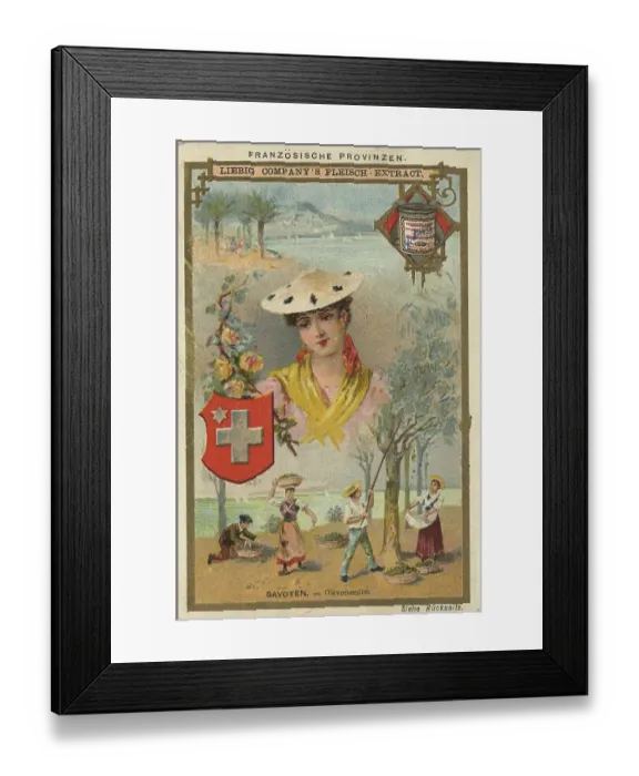Framed Print : Picture series French provinces