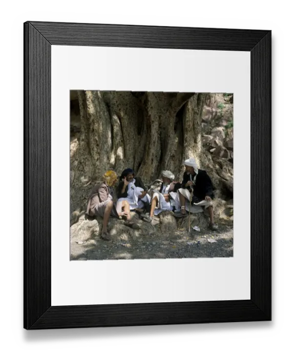 Framed Print : Men sitting under a very old tree in Wadi Dar, Yemen, Asia Framed Print : Men sitting under a very old tree in Wadi Dar, Yemen, Asia