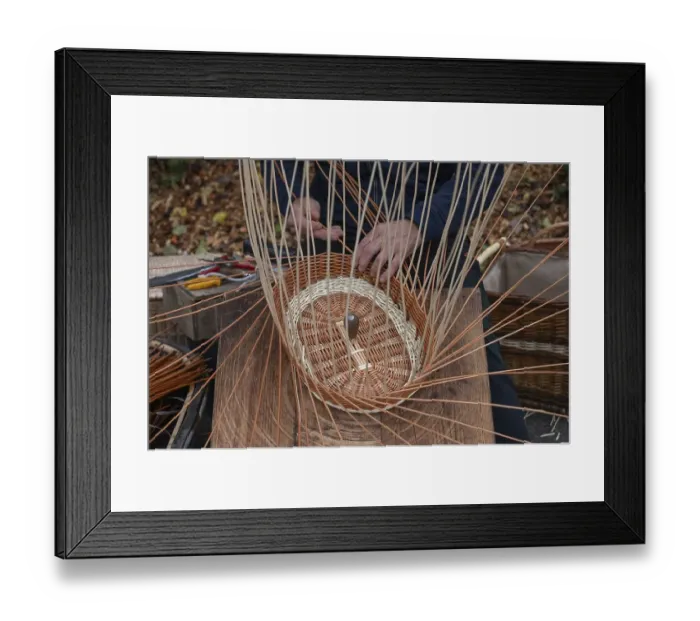 Framed Print : Basket is woven from willow rods (Salix viminalis), Franconia, Bavaria, Germany, Europe Framed Print : Basket is woven from willow rods (Salix viminalis), Franconia, Bavaria, Germany, Europe