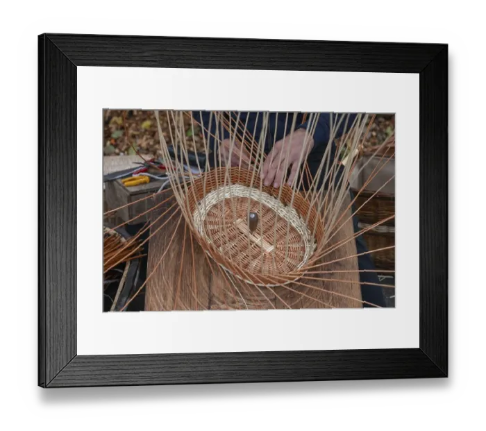 Framed Print : Basket is woven from willow rods (Salix viminalis), Franconia, Bavaria, Germany, Europe Framed Print : Basket is woven from willow rods (Salix viminalis), Franconia, Bavaria, Germany, Europe