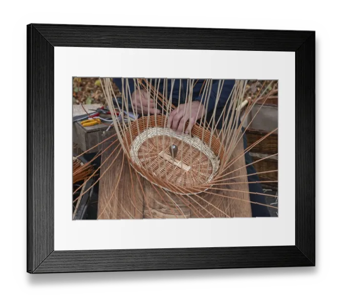 Framed Print : Basket is woven from willow rods (Salix viminalis), Franconia, Bavaria, Germany, Europe