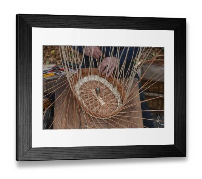 Framed Print : Basket is woven from willow rods (Salix viminalis), Franconia, Bavaria, Germany, Europe Framed Print : Basket is woven from willow rods (Salix viminalis), Franconia, Bavaria, Germany, Europe