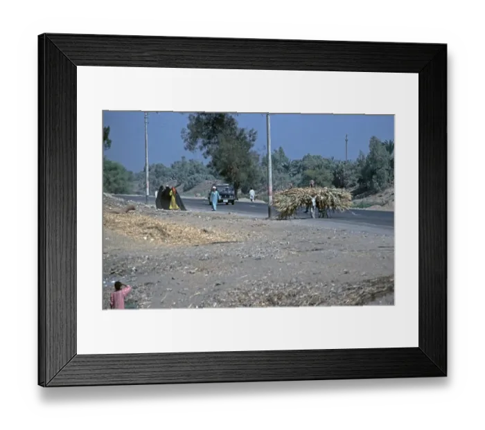Framed Print : Donkey loaded with sugar cane, Nile Valley, Egypt, September 1989, vintage, retro, old, historical, Africa Framed Print : Donkey loaded with sugar cane, Nile Valley, Egypt, September 1989, vintage, retro, old, historical, Africa