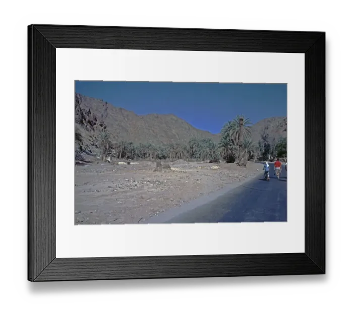 Framed Print : Feiran Oasis, Sinai Peninsula, Egypt, September 1989, vintage, retro, old, historical, Africa