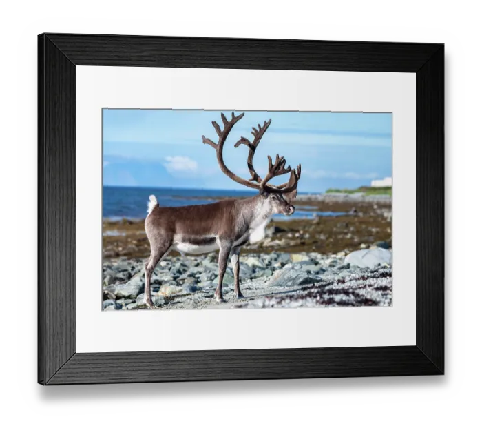 Framed Print : 6240534