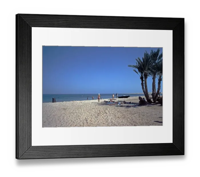 Framed Print : Palm trees, beach, Nuweiba, Sinai Peninsula, Egypt, September 1989, vintage, retro, old, historical, Africa