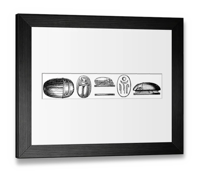 Framed Print : Scarabs or lucky beetles, used as lucky charms, jewellery and burial objects since antiquity, especially in Egypt, archaeological finds, history of mankind, historical illustration 1880