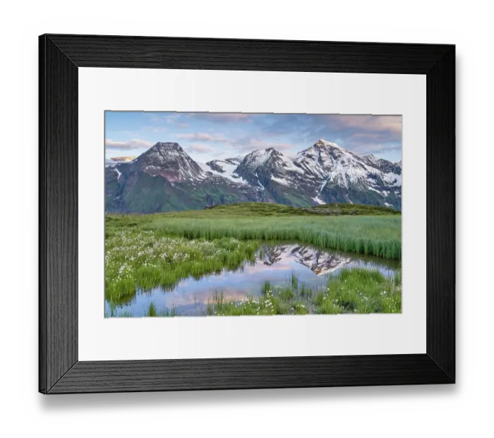 Framed Print : Cotton grass with mountain panorama and reflection, snow, Grossglockner High Alpine Road, Hohe Tauern National Park, Pinzgau, Salzburg Framed Print : Cotton grass with mountain panorama and reflection, snow, Grossglockner High Alpine Road, Hohe Tauern National Park, Pinzgau, Salzburg