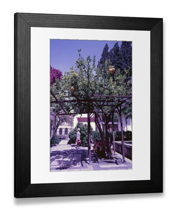 Framed Print : Bitter orange, citrus fruit, Azim Palace, Damascus, Syria, May 1987, vintage, retro, old, historical, Asia