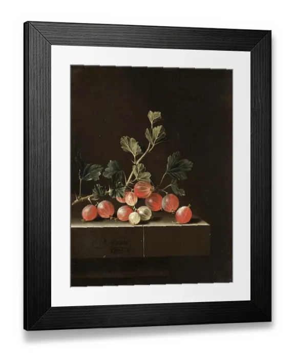 Framed Print : Gooseberries on a Table, 1701, Painting by Adriaen Coorte, Historic, digitally restored reproduction of an original from the period