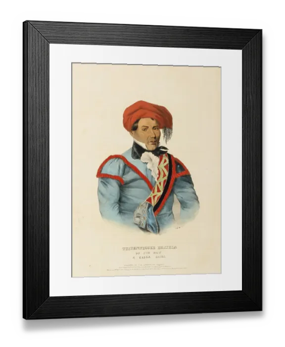 Framed Print : Tustennuggee Emathla (1836), Native American, Historical Native American tribes from North America, Charles Bird King (1785, 1862), Historical, digitally restored reproduction from a 19th century original, Record date not stated