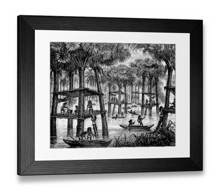 Framed Print : Indigenous people living in families on prehistoric pile dwellings in the Rio Orinoco, tropical landscape with palm trees, ladder to the dwellings, living levels attached to palm trees, means of transport is the canoe, history of mankind, Venezuela