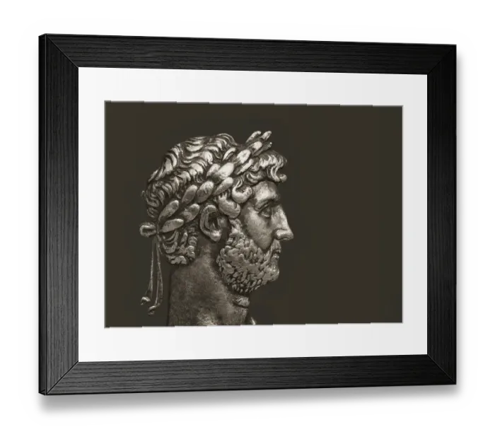 Framed Print : Hadrian or Publius Aelius Hadrianus Augustus, 76 - 138, Roman emperor, digitally edited
