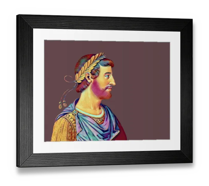 Framed Print : Hadrian or Publius Aelius Hadrianus Augustus, 76 - 138, Roman emperor, digitally edited