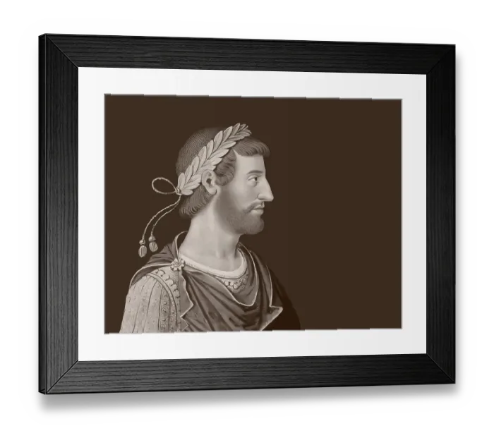Framed Print : Hadrian or Publius Aelius Hadrianus Augustus, 76 - 138, Roman emperor, digitally edited Framed Print : Hadrian or Publius Aelius Hadrianus Augustus, 76 - 138, Roman emperor, digitally edited