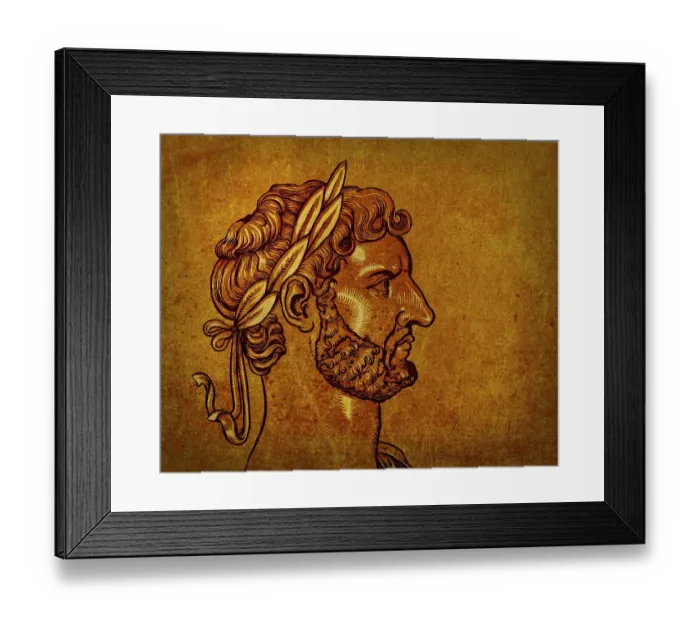 Framed Print : Hadrian or Publius Aelius Hadrianus Augustus, 76 - 138, Roman emperor, digitally edited