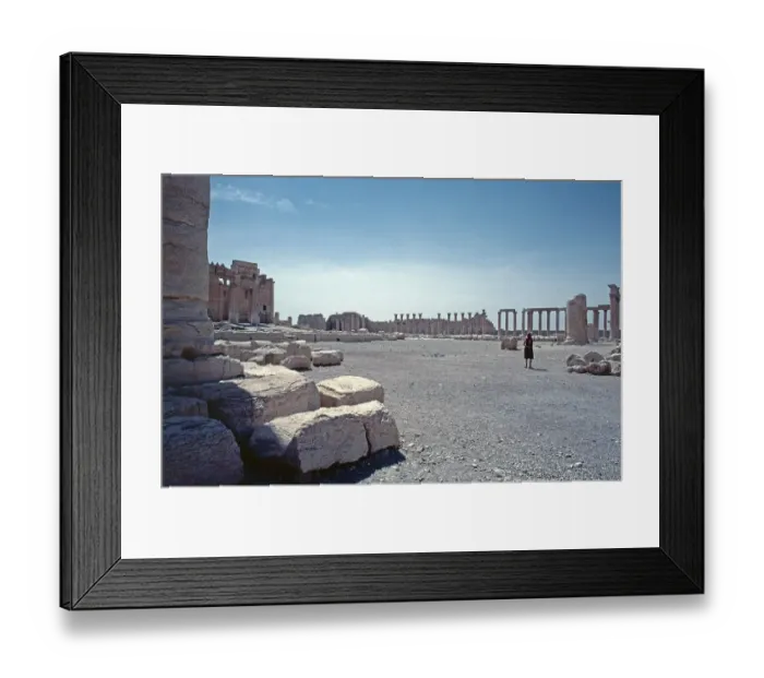 Framed Print : The Great Court, Bel Temple, Palmyra, Tadmor, Syria, May 1987, vintage, retro, old, historical, Asia Framed Print : The Great Court, Bel Temple, Palmyra, Tadmor, Syria, May 1987, vintage, retro, old, historical, Asia