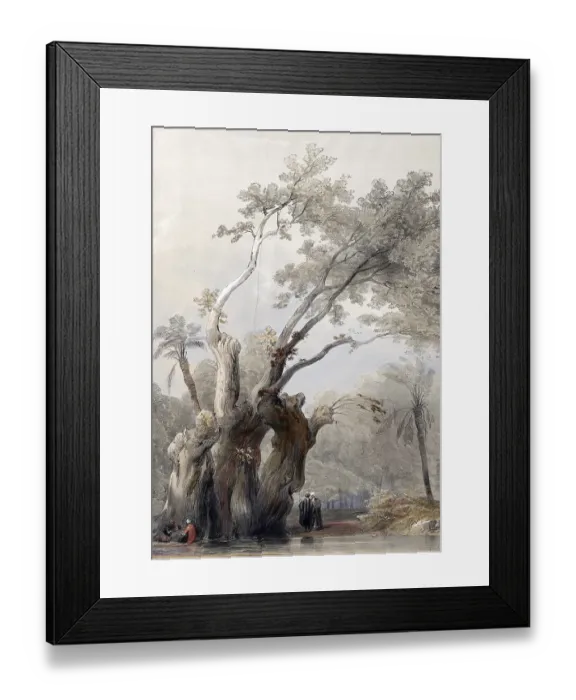 Framed Print : The Sacred Tree of Metereah, Egypt, c. 1850, Historical, digitally restored reproduction from a 19th century original, exact date unknown, AI generated, Africa