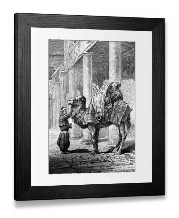 Framed Print : Loaded camel in Smyrna or Izmir, street, building with portico, camel driver, load, side view, travelling in Asia, Turkey, historical illustration 1887, Asia