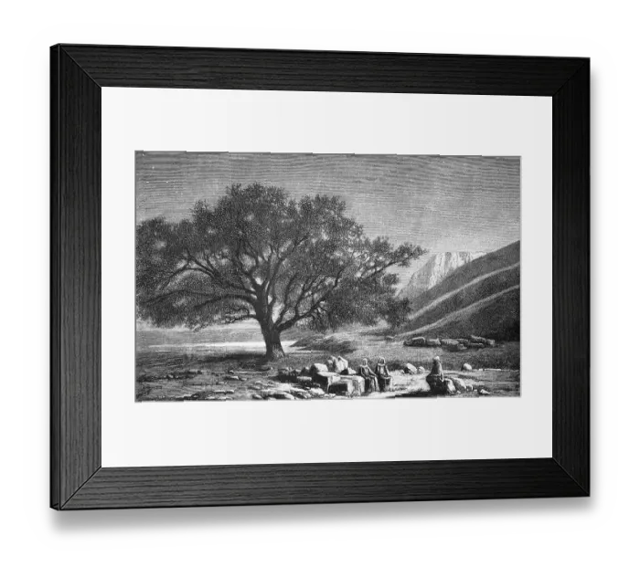 Framed Print : At the Sea of Tiberias or Sea of Galilee, Sea of Galilee, Christian pilgrimage site, miracle of Jesus, below sea level, tree, rock, people, travelling in Asia, Israel, historical illustration 1887, Asia