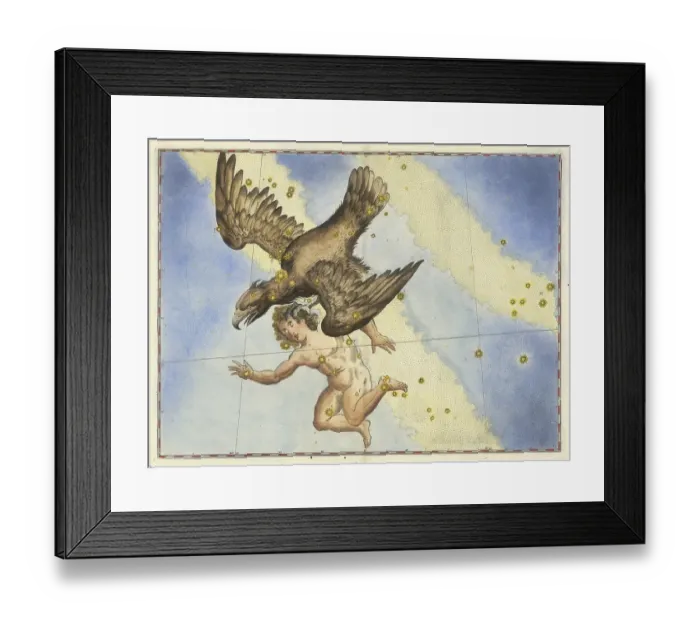 Framed Print : Astronomy. The celestial atlas, the Uranometria, Ptolemaic constellations, by Johann Bayer (1572 - 7 March 1625), German astronomer, Aquila, eagle, prominent constellation of the northern summer and autumn sky