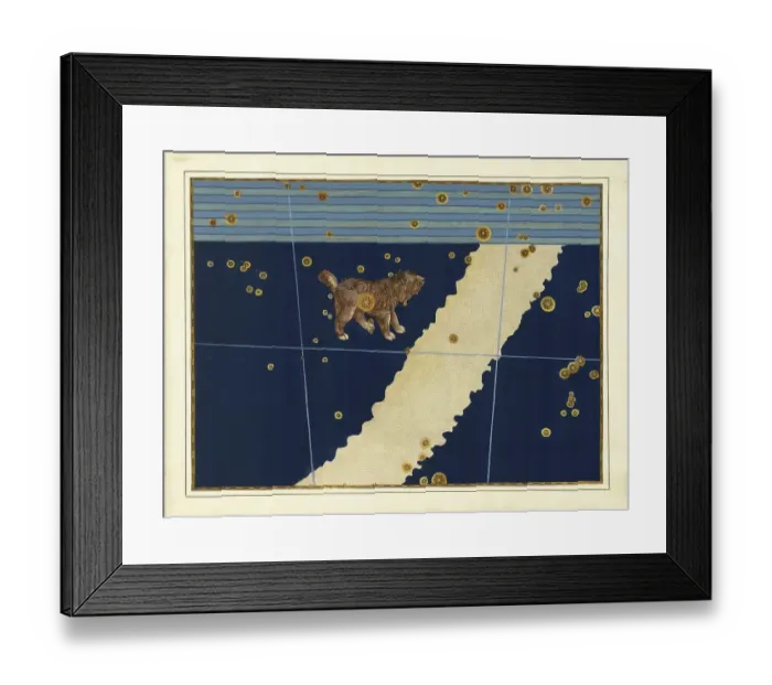 Framed Print : Astronomy. The Celestial Atlas, the Uranometria, Ptolemaic constellations, by Johann Bayer (1572 - 7 March 1625), German astronomer, Canis Minor, Small Dog, constellation north of the celestial equator