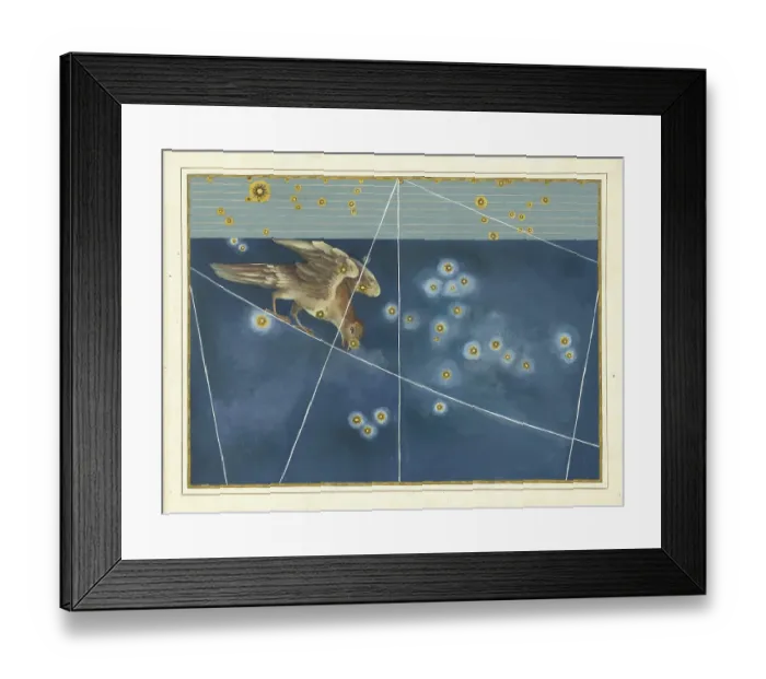 Framed Print : Astronomy. The Celestial Atlas, the Uranometria, Ptolemaic constellations, by Johann Bayer (1572 - 7 March 1625), German astronomer, Corvus, Raven, constellation south of the celestial equator, digitally enhanced reproduction of a historical model Framed Print : Astronomy. The Celestial Atlas, the Uranometria, Ptolemaic constellations, by Johann Bayer (1572 - 7 March 1625), German astronomer, Corvus, Raven, constellation south of the celestial equator, digitally enhanced reproduction of a historical model