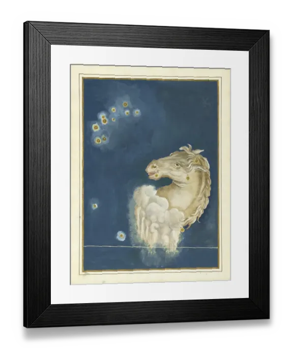 Framed Print : Astronomy. The celestial atlas, the Uranometria, Ptolemaic constellations, by Johann Bayer (1572 - 7 March 1625), German astronomer, Equuleus, Fuellen, Fohlen, a constellation north of the celestial equator Framed Print : Astronomy. The celestial atlas, the Uranometria, Ptolemaic constellations, by Johann Bayer (1572 - 7 March 1625), German astronomer, Equuleus, Fuellen, Fohlen, a constellation north of the celestial equator
