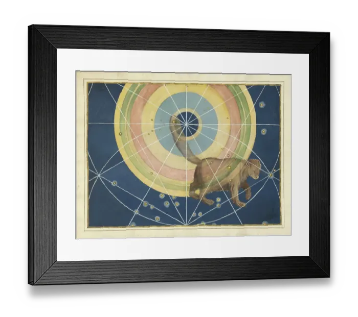 Framed Print : Astronomy. The Celestial Atlas, the Uranometria, Ptolemaic constellations, by Johann Bayer (1572 - 7 March 1625), German astronomer, Ursa Minor, Little Bear, constellation of the northern sky, digitally enhanced reproduction of a historical model