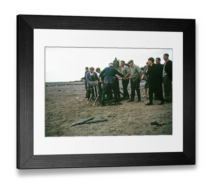 Framed Print : Men and boys netting wild salmon on the beach, River Tweed, Berwick on Tweed, Northumberland, England, UK 1965 Framed Print : Men and boys netting wild salmon on the beach, River Tweed, Berwick on Tweed, Northumberland, England, UK 1965