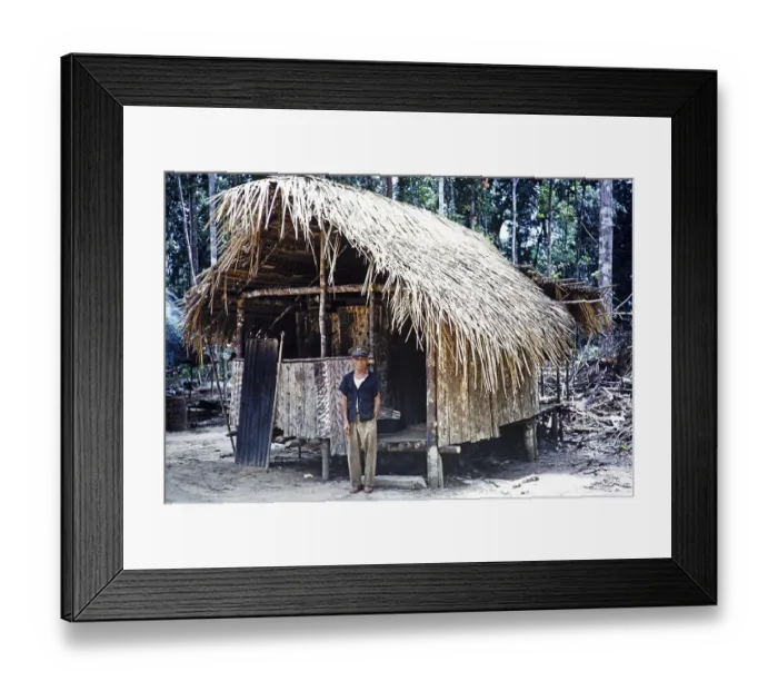 Framed Print : House in the rainforest, Guyana, West Indies, South America, 1960 1961, then colony of British Guiana, South America
