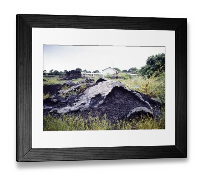 Framed Print : Naturally occurring mounds of pitch tar asphalt La Brea Pitch Lake, Trinidad early 1960s Framed Print : Naturally occurring mounds of pitch tar asphalt La Brea Pitch Lake, Trinidad early 1960s