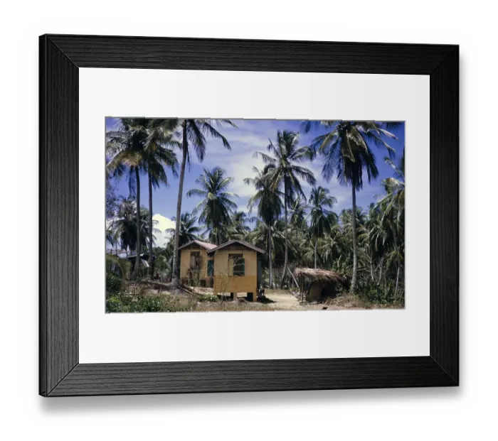Framed Print : Coconut palm plantation and small houses for workers, Trinidad and Tobago 1961-1963