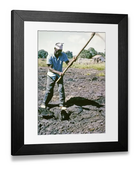 Framed Print : Male worker using pickaxe digging tar at La Brea Pitch Lake, Trinidad, Trinidad and Tobago, early 1960s, Central America Framed Print : Male worker using pickaxe digging tar at La Brea Pitch Lake, Trinidad, Trinidad and Tobago, early 1960s, Central America