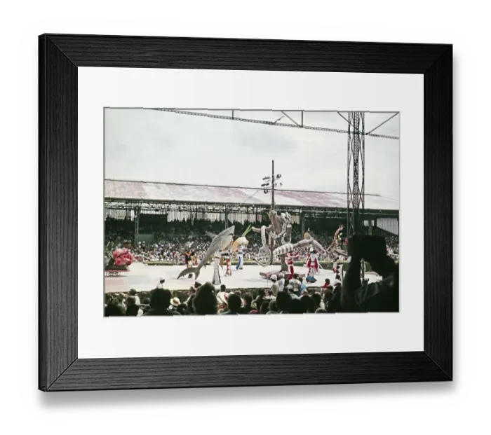 Framed Print : Performers in colourful costumes on stage as part of carnival celebrations, Port of Spain, Trinidad 1962 - captioned as Nature's Notebook Framed Print : Performers in colourful costumes on stage as part of carnival celebrations, Port of Spain, Trinidad 1962 - captioned as Nature's Notebook