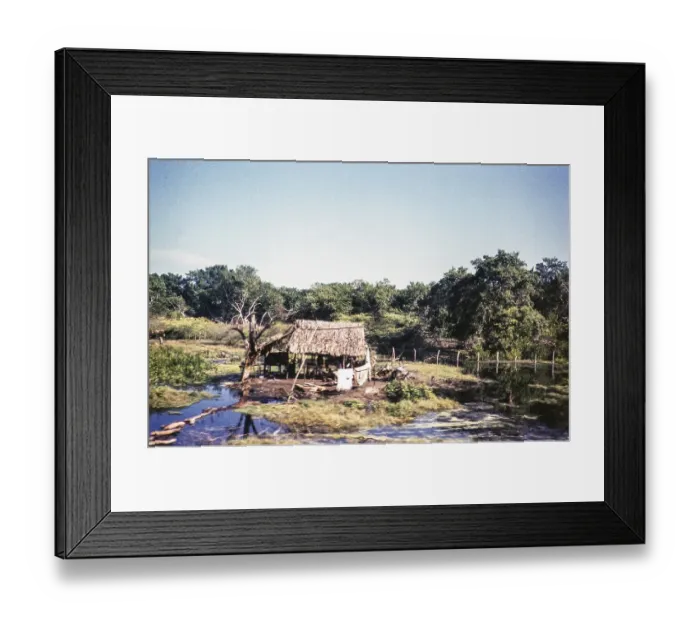 Framed Print : Straw hut construction, river delta of the Rio Magdalena, Colombia, South America 1961, South America Framed Print : Straw hut construction, river delta of the Rio Magdalena, Colombia, South America 1961, South America