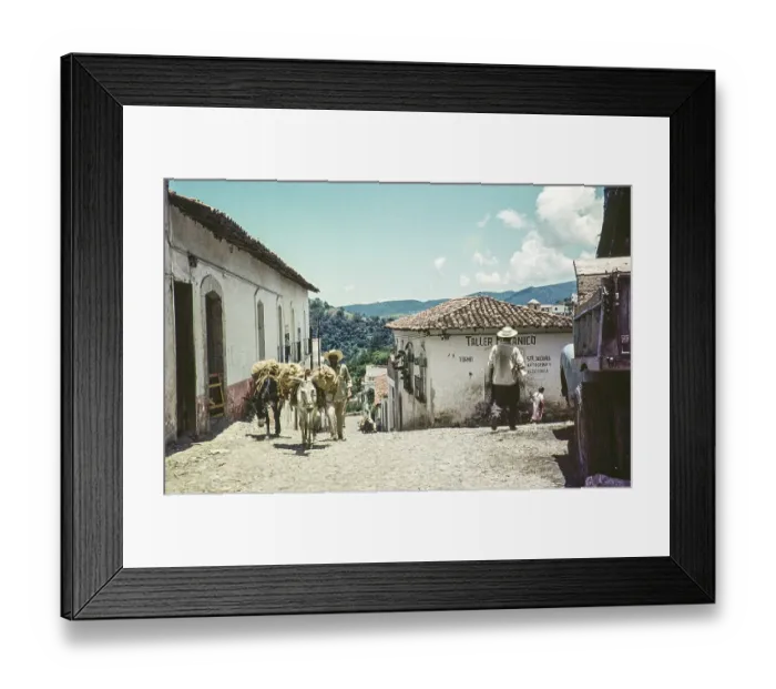 Framed Print : City street with donkeys, Taxco, State of Guerrero, Mexico, 1961, Central America Framed Print : City street with donkeys, Taxco, State of Guerrero, Mexico, 1961, Central America