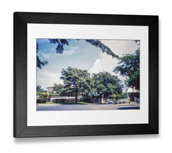 Framed Print : Houses in a residential suburb, San Juan, Puerto Rico 1961
