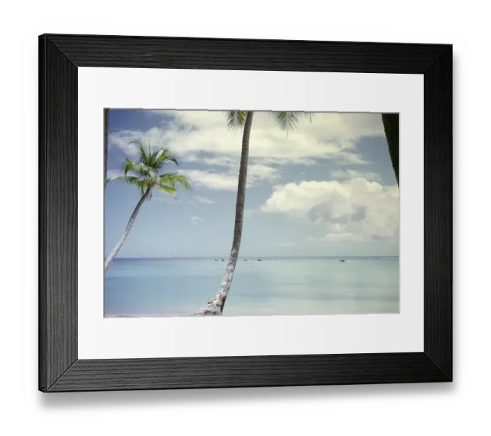 Framed Print : View between palm trees to boats in calm blue sea, island of Tobago, Trinidad and Tobago 1963