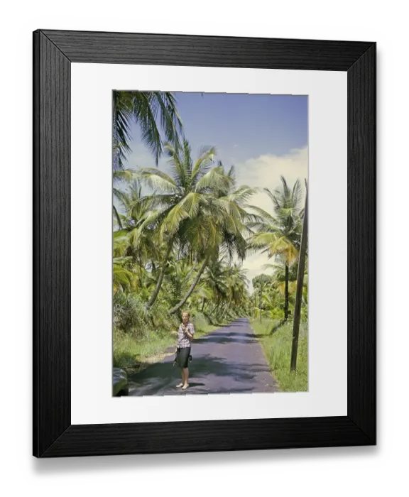 Framed Print : Woman standing on tarmac road through palm tree plantation, east cost road, Tridid 1963 Framed Print : Woman standing on tarmac road through palm tree plantation, east cost road, Tridid 1963