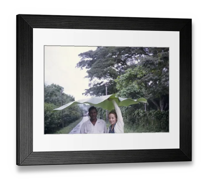 Framed Print : Man and woman sheltering from rain beneath large banana leaf, Trinidad 1963 Framed Print : Man and woman sheltering from rain beneath large banana leaf, Trinidad 1963