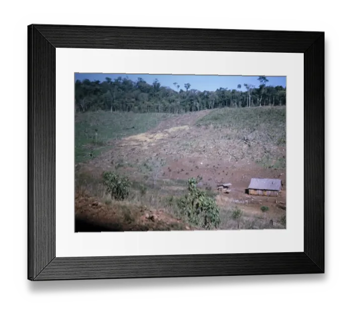 Framed Print : Subsistence farming Deforestation for subsistence farming, state of Parana, south-east Brazil 1962