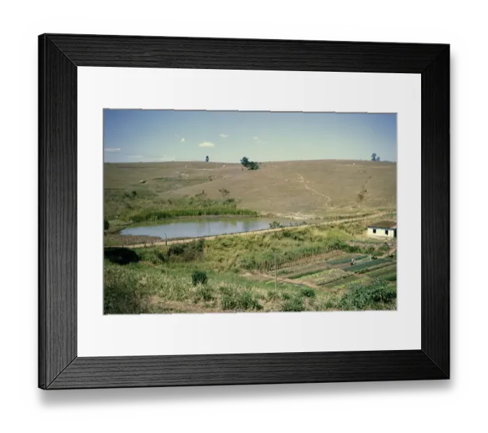 Framed Print : Water reservoir tank and vegetable crops, behind it pastureland for cattle, Fazenda Sant Anna, Campinas, Brazil, South America 1962, South America Framed Print : Water reservoir tank and vegetable crops, behind it pastureland for cattle, Fazenda Sant Anna, Campinas, Brazil, South America 1962, South America