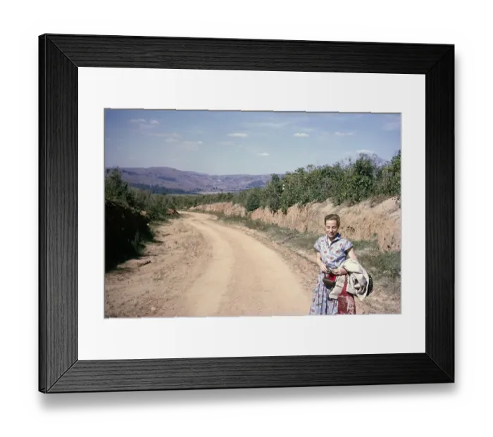 Framed Print : Margaret Folland Road through coffee bushes, Fazenda Sant Anna, Campinas, Brazil, South America 1962, South America
