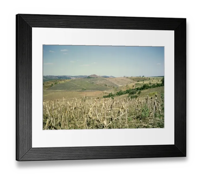 Framed Print : View over fields Fazenda Sant Anna, Campinas, Brazil, South America 1962, South America