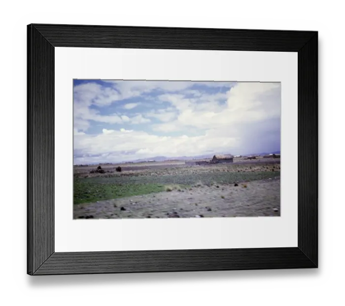 Framed Print : Landscape of the Altiplano, Bolivia, South America, 1962, South America Framed Print : Landscape of the Altiplano, Bolivia, South America, 1962, South America